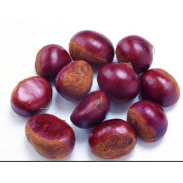 2015 Chinese Organic Fresh Chestnut
